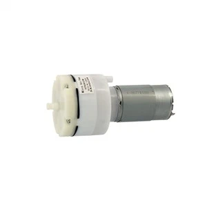 Mini elektrische waterpompen Borstkolf